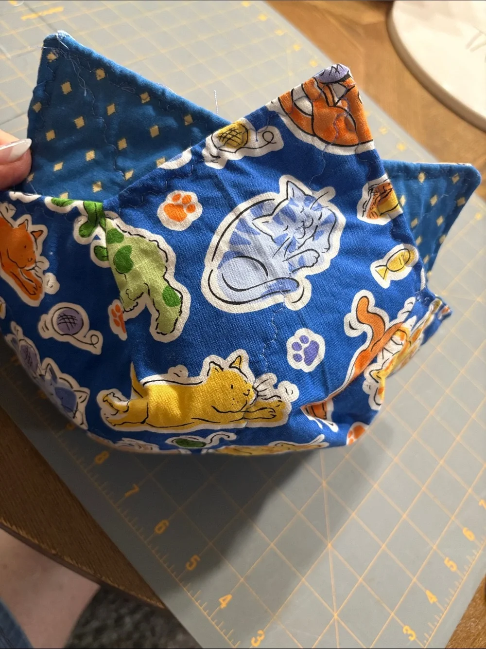 SET of 2 Blue Cat Print Fabric Bowl cozies
